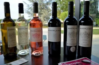 Visite-8211-degustation-Chateau-Montplaisir-8211-14-07-2025-8211-Prigonrieux_2856162
