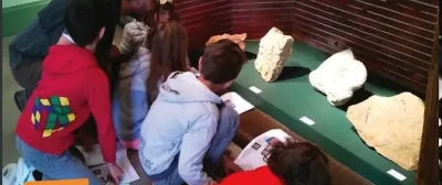 Visite-Enfant-quotDino-et-les-Fossilesquot-Musee-d039Histoire-de-Figeac-8211-21-07-2025-8211-Figeac_2932435