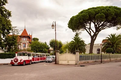 Visite-Guidee-Le-Petit-Train-8211-Circuit-La-Panoramique-8211-18-06-2025-8211-Arcachon_2416529