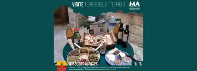 Visite-Territoire-amp-Terroir-8211-19-08-2025-8211-Saint-Remy-de-Provence_2489117
