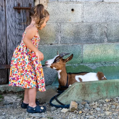 Visite-active-et-pedagogique-de-la-ferme-Equi039libre-8211-15-07-2026-8211-Angoisse_3473355