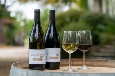Visite-amp-degustation-Chateau-Montplaisir-8211-19-08-2025-8211-Prigonrieux_2810693