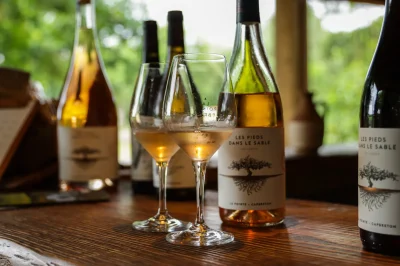 Visite-aperitive-au-Domaine-de-La-Pointe-8211-16-10-2026-8211-Capbreton_3864224