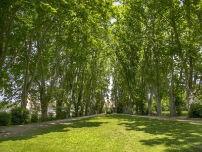 Visite-approfondie-en-francais-de-la-bastide-du-Jas-de-Bouffan-8211-28-06-2025-8211-Aix-en-Provence_2467921