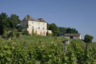 Visite-bout-de-rang-et-degustation-Domaine-de-l039Ancienne-Cure-8211-01-07-2025-8211-Colombier_2861893