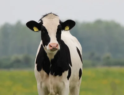 Visite-chez-ferme-Nature-8211-Neuville-sur-Vanne_2685469