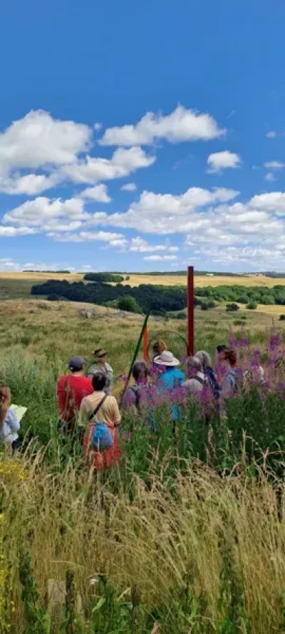 Visite-commentee-quotMythologies-des-plantesquot-a-Aubrac-8211-Saint-Chely-d039Aubrac_3664473