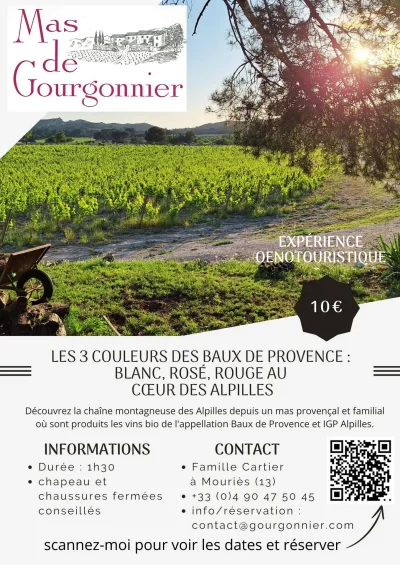 Visite-d039un-domaine-viticole-8211-Mas-de-Gourgonnier-8211-Mouries_2438053