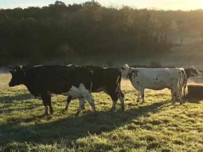 Visite-de-Ferme-quotLait-Gourmand-de-la-Moulierequot-8211-03-10-2025-8211-Bonneuil-Matours_3169269