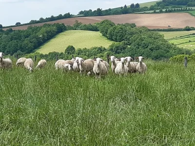 Visite-de-ferme-a-Serieux-8211-Requista_2243236
