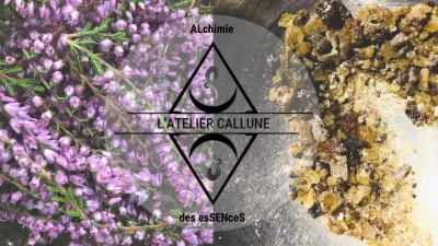 Visite-de-l039Atelier-et-de-sa-boutique-8211-16-08-2025-8211-Vayres_2886762