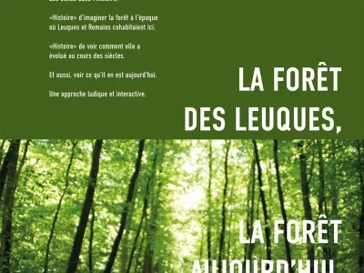 Visite-de-l039Oppidum-de-Boviolles-guidee-par-un-naturaliste-8211-Saint-Amand-sur-Ornain_3853514