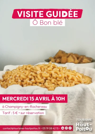 Visite-de-l039entreprise-O-Bon-Ble-8211-15-04-2026-8211-Champigny-en-Rochereau_3477475
