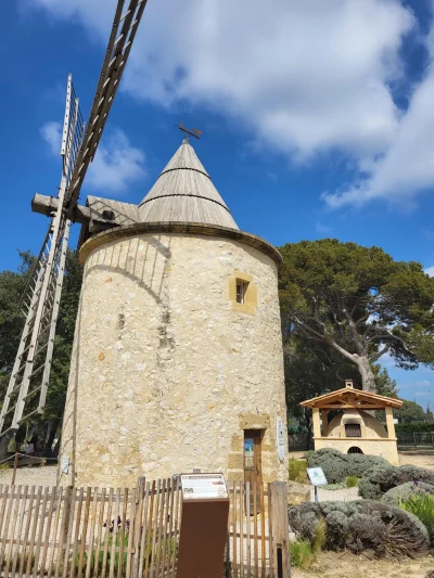 Visite-de-l039esplanade-du-Moulin-de-Bertoire-8211-07-06-2025-8211-Lambesc_2865638