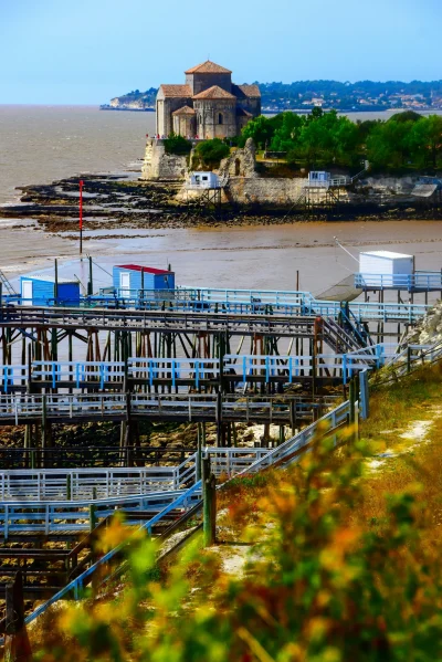 Visite-de-l039estuaire-de-la-Gironde-8211-06-05-2026-8211-Ares_3475277