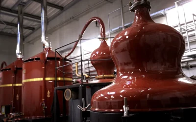 Visite-de-la-Distillerie-Brana-et-degustation-8211-03-07-2026-8211-Osses_3628748