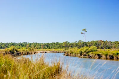 Visite-de-la-Reserve-Naturelle-des-Pres-Sales-8211-Cap-Termer-8211-Lege-Cap-Ferret_2525495