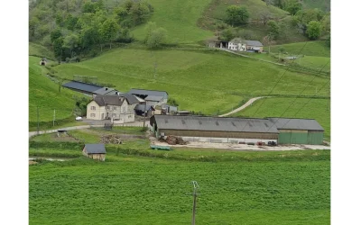 Visite-de-la-ferme-Burgubu-8211-15-07-2025-8211-Roquiague_2626307