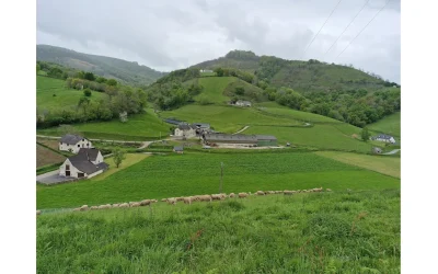 Visite-de-la-ferme-Burgubu-8211-18-08-2026-8211-Roquiague_3695350