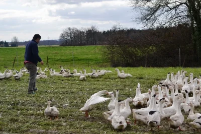 Visite-de-la-ferme-Degert-Canards-8211-16-09-2025-8211-Clermont_2182980