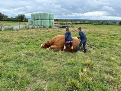 Visite-de-la-ferme-La-Vallee-des-Vaches-8211-11-08-2025-8211-Magnac-Laval_2985230