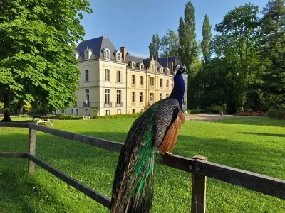 Visite-de-la-ferme-du-domaine-de-Ouezy-8211-Ouezy_1822135
