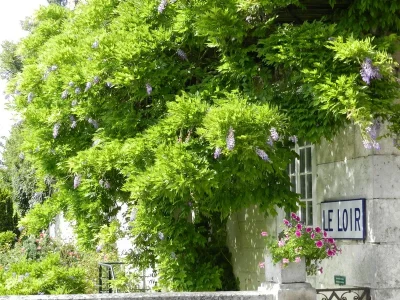 Visite-de-la-ville-de-Montoire-8211-Montoire-sur-le-Loir_3515495