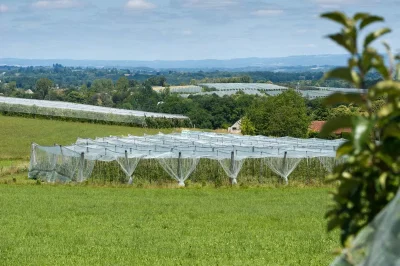 Visite-de-vergers-de-pommes-8211-14-08-2025-8211-Lubersac_2982398