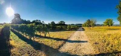 Visite-degustation-Chateau-La-Renaudie-8211-21-08-2025-8211-Lembras_2805091