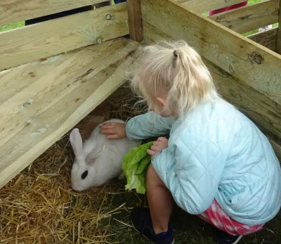 Visite-des-animaux-8211-Ferme-musee-du-Cotentin-8211-24-04-2026-8211-Sainte-Mere-Eglise_3487679