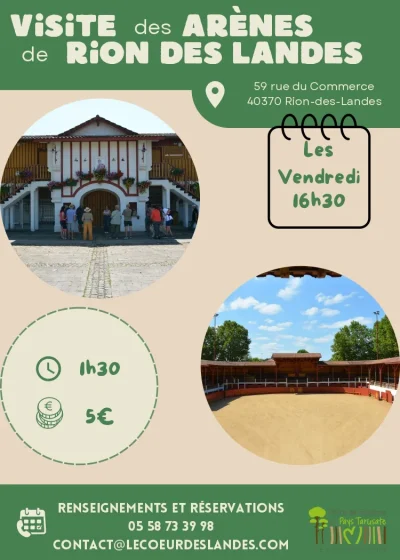 Visite-des-arenes-de-Rion-des-Landes-8211-29-08-2025-8211-Rion-des-Landes_2896693