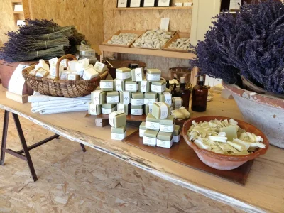 Visite-des-champs-de-lavande-a-Terre-Ugo-8211-01-06-2025-8211-Aix-en-Provence_2165940