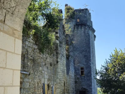 Visite-du-Chateau-de-Bruzac-8211-09-08-2025-8211-Saint-Pierre-de-Cole_2539468