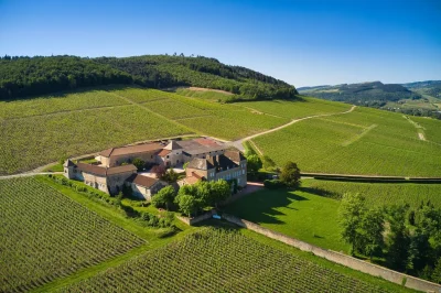 Visite-du-Musee-de-la-vigne-et-du-Vin-8211-01-01-2024-8211-La-Roche-Vineuse_1955520