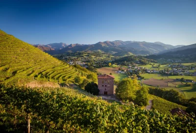 Visite-du-Vignoble-Brana-et-degustation-8211-31-07-2026-8211-Ispoure_3628046