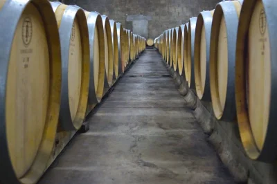Visite-du-chai-a-barriques-degustation-decouverte-8211-19-07-2025-8211-Bergerac_2896697