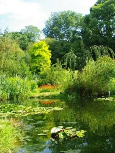 Visite-du-jardin-quotLe-pre-du-moulinquot-8211-12-09-2026-8211-Rampan_3300249