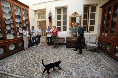 Visite-du-musee-et-de-la-Maison-du-Dr-Sentex-8211-23-10-2025-8211-Saint-Sever_2975257