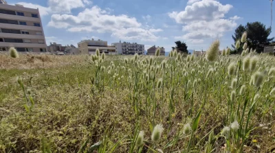Visite-du-reservoir-vegetalise-de-Lacedemone-a-Marseille-8211-17-09-2025-8211-Marseille-6e-Arrondissement_2865794