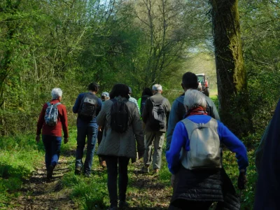 Visite-du-site-archeologique-via-le-sentier-des-Grottes-du-Pape-8211-Brassempouy_2783590
