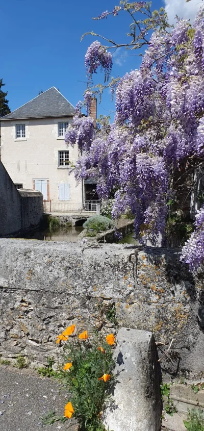 Visite-du-village-de-Suevres-8211-Suevres_3222111