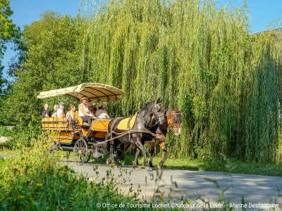 Visite-en-caleche-8211-Loches-et-Beaulieu-les-Loches-8211-Loches_3215737