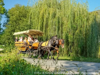 Visite-en-caleche-8211-Loches-et-Beaulieu-les-Loches_443052