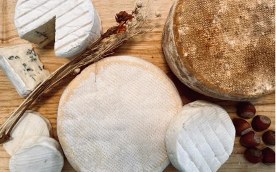 Visite-et-degustation-a-la-Laiterie-de-la-Nive-8211-10-10-2025-8211-Saint-Jean-le-Vieux_3167826