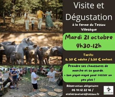 Visite-et-degustation-a-la-ferme-du-Tessou-8211-Villeseque_3226273