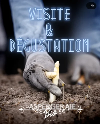 Visite-et-degustation-d039asperges-8211-10-05-2025-8211-Uza_2528218