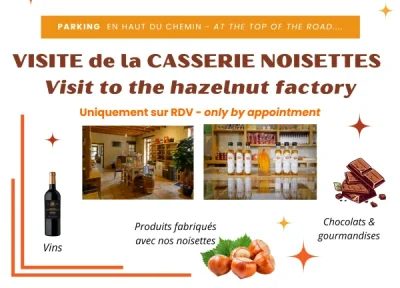 Visite-et-degustation-de-la-casserie-a-la-Grave-Bechade-8211-02-01-2025-8211-Baleyssagues_2907007