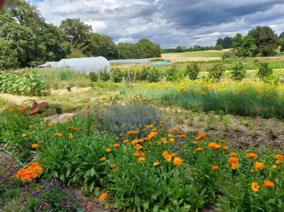 Visite-et-degustation-de-produits-de-la-ferme-8211-27-08-2025-8211-Saint-Brice-sur-Vienne_2567317