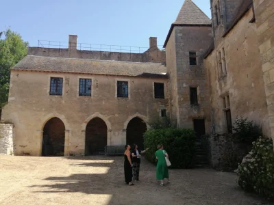Visite-et-spectacle-fauconnerie-au-Chateau-8211-12-07-2025-8211-Culan_2904325
