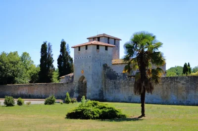 Visite-famille-de-Vianne-le-grand-tournoi-de-la-bastide-8211-10-07-2025-8211-Vianne_2586289